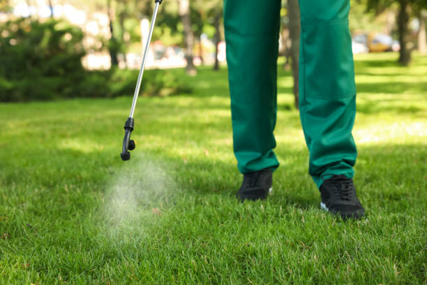 Best Affordable Pest Control Services  in Mulino, OR