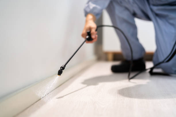 Best Pest Control for Homes  in Mulino, OR