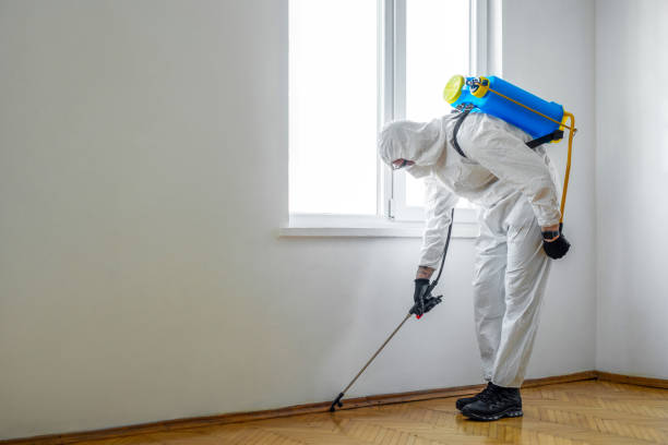 Best Flea Control Services  in Mulino, OR