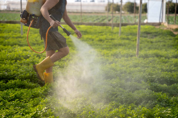 Best Residential Pest Control  in Mulino, OR