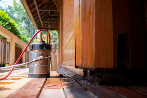 Best Pest Control for Businesses  in Mulino, OR