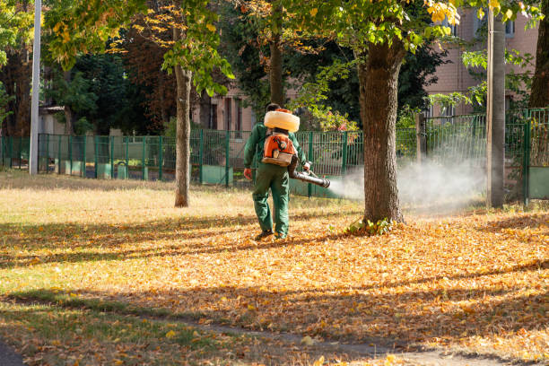 Wasp Removal Services in Mulino, OR