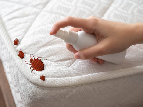 Best Mosquito Control Services  in Mulino, OR