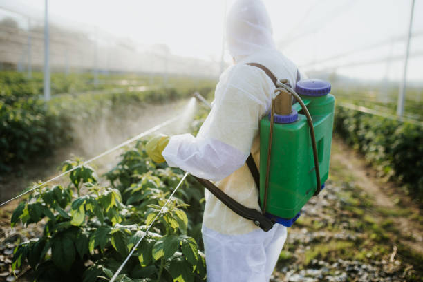Best Cockroach Control Services  in Mulino, OR